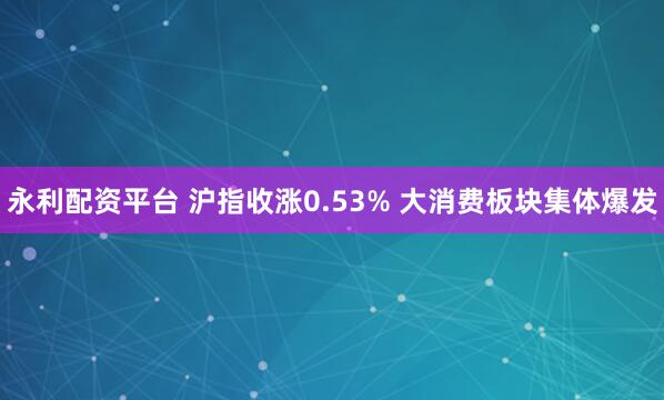 永利配资平台 沪指收涨0.53% 大消费板块集体爆发