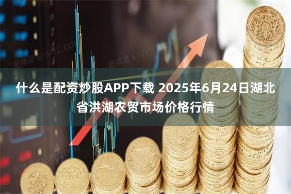 什么是配资炒股APP下载 2025年6月24日湖北省洪湖农贸市场价格行情