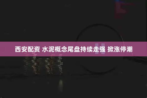 西安配资 水泥概念尾盘持续走强 掀涨停潮