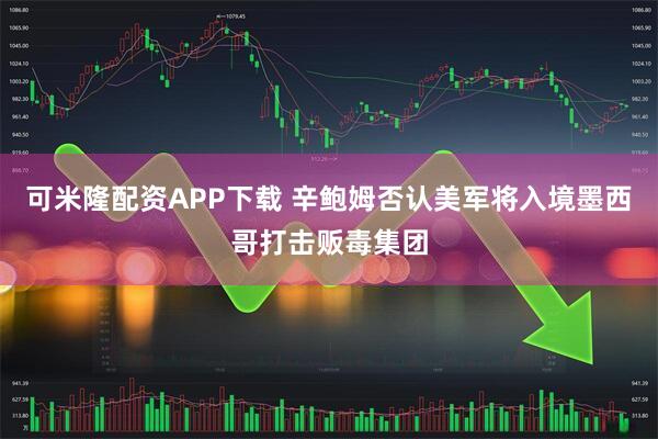 可米隆配资APP下载 辛鲍姆否认美军将入境墨西哥打击贩毒集团