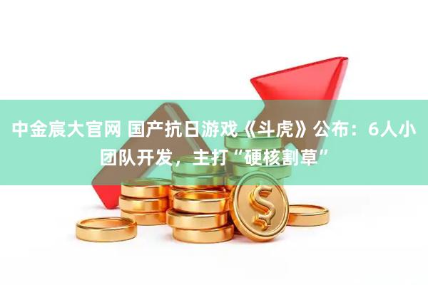 中金宸大官网 国产抗日游戏《斗虎》公布：6人小团队开发，主打“硬核割草”